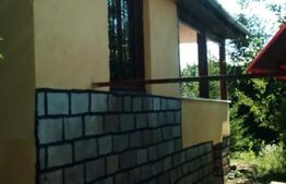 Casa de vacanta cu teren si vie, 70mp, zona Budiului