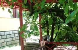 Casa de vacanta cu teren si vie, 70mp, zona Budiului