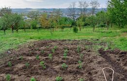 Casa de vacanta cu teren si vie, 70mp, zona Budiului