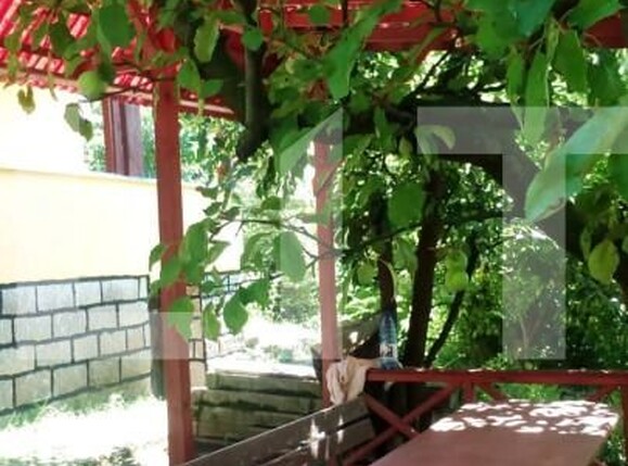 Casa de vânzare 2 camere Budiului - 141522CV | BLITZ Târgu Mureș | Poza3