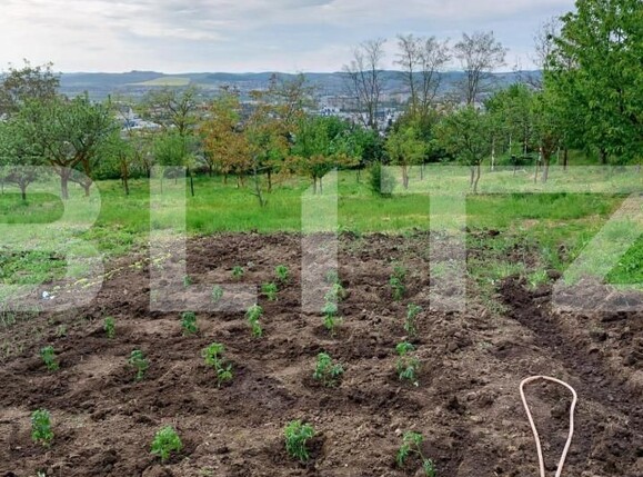 Casa de vânzare 2 camere Budiului - 141522CV | BLITZ Târgu Mureș | Poza2