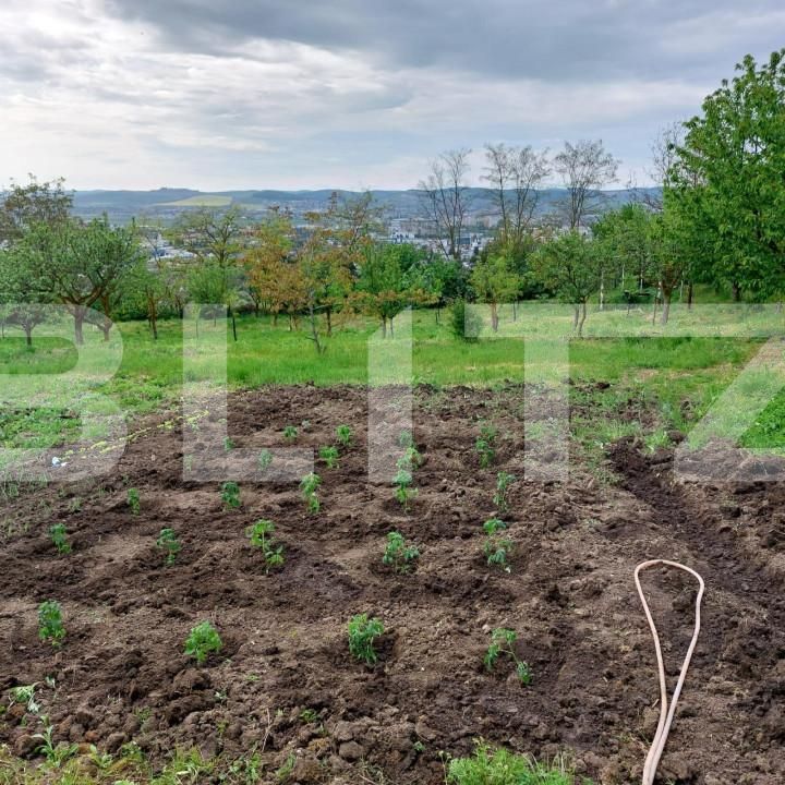 Casa de vânzare 2 camere Budiului - 141522CV | BLITZ Târgu Mureș | Poza2