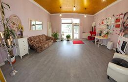 Casa 5 camere, 173mp, zona Centrala