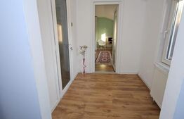 Casa 5 camere, 173mp, zona Centrala