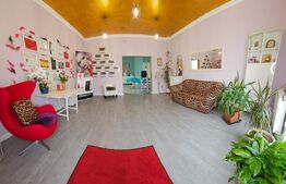 Casa 5 camere, 173mp, zona Centrala