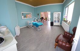 Casa 5 camere, 173mp, zona Centrala