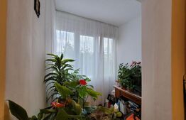 Apartament de 3 camere, 65 mp, Zona Tudor!