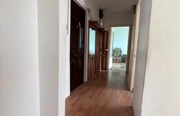 Apartament cu 2 camere, 50mp, Dambu