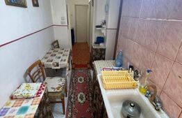 Apartament 2 camere, parter, 48mp, zona Dambu