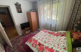 Apartament 2 camere, parter, 48mp, zona Dambu