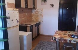 Apartament cu 1 camera la mansarda, 34 mp, Sângeorgiu de Mureş