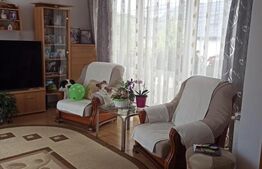 Două Case + 2 Spații Comerciale, 440 mp Utili – pe Str. Libertății!