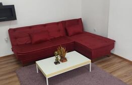 Două Case + 2 Spații Comerciale, 440 mp Utili – pe Str. Libertății!