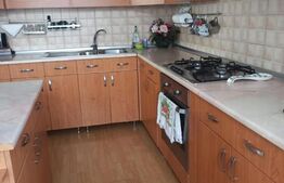 Două Case + 2 Spații Comerciale, 440 mp Utili – pe Str. Libertății!