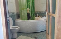 Două Case + 2 Spații Comerciale, 440 mp Utili – pe Str. Libertății!