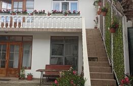 Două Case + 2 Spații Comerciale, 440 mp Utili – pe Str. Libertății!