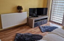 Casă Premium 400 mp, Unirii – Potențial Multiplu: Locuință sau Spațiu de Afaceri