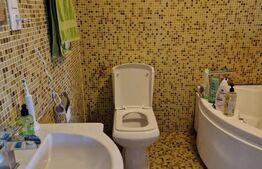 Casă Premium 400 mp, Unirii – Potențial Multiplu: Locuință sau Spațiu de Afaceri