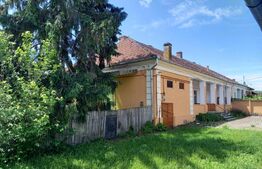 Casa boiereasca, 300 mp si 1890 mp teren, semicentral, in Ludus