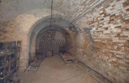 Casa boiereasca, 300 mp si 1890 mp teren, semicentral, in Ludus