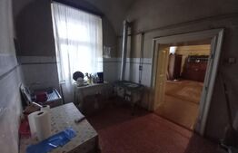 Casa boiereasca, 300 mp si 1890 mp teren, semicentral, in Ludus