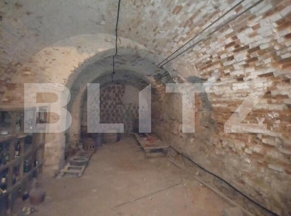 Casa de vânzare 5 camere Exterior Vest - 142534CV | BLITZ Târgu Mureș | Poza12