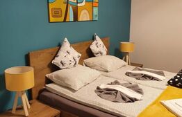 Vila deosebita cu 6 camere, 530mp, Statiunea Sovata