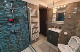 Vila deosebita cu 6 camere, 530mp, Statiunea Sovata