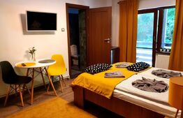 Vila deosebita cu 6 camere, 530mp, Statiunea Sovata