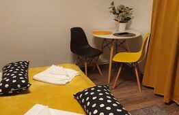 Vila deosebita cu 6 camere, 530mp, Statiunea Sovata