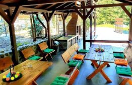 Vila deosebita cu 6 camere, 530mp, Statiunea Sovata