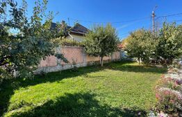 Casa cu 6 camere, 220 Mp în zona Piața armatei