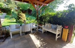 Casa situată in zona centrala, 3 camere 157 mp utili si 863 mp total