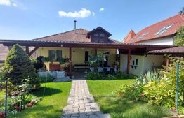 Casa situată in zona centrala, 3 camere 157 mp utili si 863 mp total