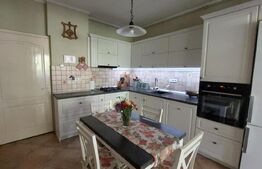 Casa situată in zona centrala, 3 camere 157 mp utili si 863 mp total