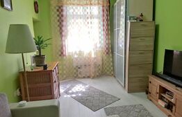 Apartament 1 camera, zona Tudor