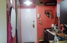 Apartament 1 camera, zona Tudor