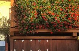 Apartament 1 camera, 44.79mp, Centru