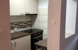 Garsoniera, 24mp, Mureseni