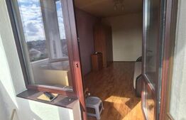 Garsoniera de 29 mp, decomandata, zona semicentrala