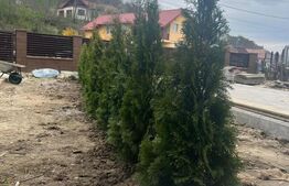 Casa duplex, 170 mp utili, 4 camere+ 2 la mansarda, Livezeni 