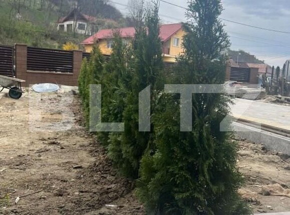 Casa de vânzare 4 camere Livezeni - 143173CV | BLITZ Târgu Mureș | Poza13