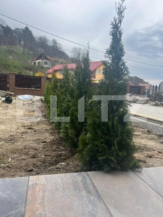 Casa de vânzare 4 camere Livezeni - 143173CV | BLITZ Târgu Mureș | Poza13