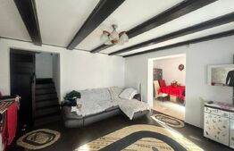  Casă Ultracentrală la Preț de Apartament – 3 camere 100 mp + curte 250mp