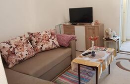 Garsoniera 28mp , Mureseni 