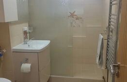  Apartament 3 camere, 70mp, Dambu 