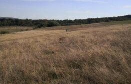 Teren intravilan, 600 mp, Bardesti