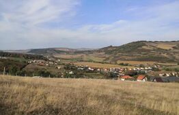 Teren intravilan, 600 mp, Bardesti