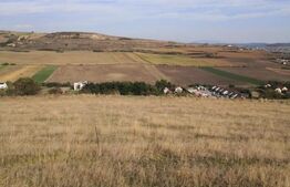 Teren intravilan, 600 mp, Bardesti