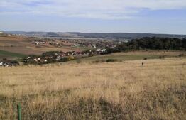 Teren intravilan, 600 mp, Bardesti